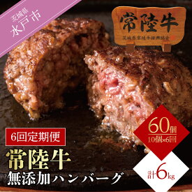【ふるさと納税】【定期便6回】肉 常陸牛ハンバーグ100g×10個 計1kg × 6回 セット ギフト リピーター続出！ お返し 内祝い 記念日 プレゼント 誕生日 個別真空パック 焼くだけでレストランの味（DU-60）