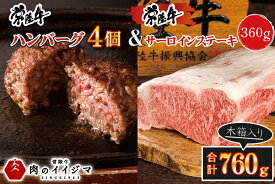 【ふるさと納税】肉 常陸牛ハンバーグ 4個 ＆ サーロインステーキ 120g×3枚 詰め合わせセット 敬老の日 ギフト お返し 内祝い 焼くだけでレストランの味 水戸市 茨城県 【肉のイイジマ】（DU-87）