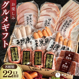 【ふるさと納税】ハム 詰め合わせ ギフト 肉 ソーセージ 常陸牛無添加ハンバーグ セット お楽しみグルメギフト 8種 30000円 お歳暮 おつまみ 食べ物 茨城県 水戸市 【肉のイイジマ】（DU-96）