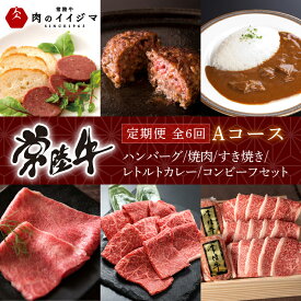 【ふるさと納税】【定期便 全6回】 肉 常陸牛 6ヶ月 定期便 Aコース ハンバーグ 焼肉 すき焼き レトルトカレー コンビーフ ギフト セット 食べ物ギフト対応 【肉のイイジマ】 茨城県 水戸市（DU-107）