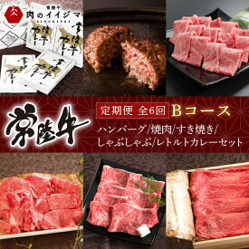 【ふるさと納税】【定期便 全6回】常陸牛 6ヶ月 定期便 Bコース 食べ物 肉 ハンバーグ 焼肉 すき焼き しゃぶしゃぶ レトルト 常陸牛カレー ビーフカレー セット ギフト対応 【肉のイイジマ】 茨城県 水戸市（DU-108）