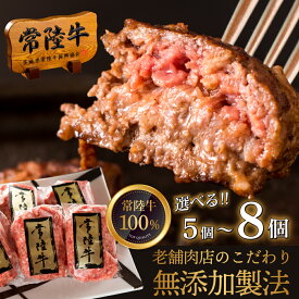 【ふるさと納税】【レビューキャンペーン】【選べる内容量】常陸牛100％ ハンバーグ 無添加 100g リピーター続出！ 冷凍 食べ物 肉 ギフト 焼くだけでレストランの味 お歳暮 小分け 茨城県 水戸（DU-78）