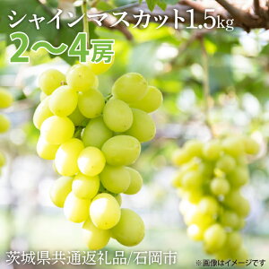 yӂ邳Ɣ[ŁzyʌzVC}XJbg 1.5kgy錧ʕԗi/Ήszyˎs 錧 VC}XJbg }XJbg uhE Ԃǂ  t[c ʕ ÂziIU-8j