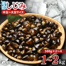【ふるさと納税】【選べる】しじみ 冷凍 特選 大玉・中玉 1kg～2kg 砂抜き済み 涸沼川 う女川