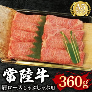 yӂ邳Ɣ[Łzy헤 A5Nz[XԂԗp360g Ⓚ Y a  錧 ˎs Y 15000~ȓ VܐX EK-11
