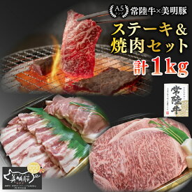 【ふるさと納税】【常陸牛 A5ランク・美明豚ステーキ焼肉セット】常陸牛サーロイン600g（300g×2枚）＋美明豚400g（ロース200g・ばら200g） 冷凍 国産牛 和牛 牛肉 豚肉　ブランド豚 茨城県 水戸市 食べ比べ セット商品 国産 BBQ 35000円以内 老舗精肉店 EK-35