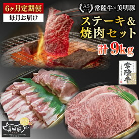 【ふるさと納税】【6ヶ月定期便】【常陸牛 A5ランク・美明豚ステーキ焼肉セット】常陸牛サーロイン900g（300g×3枚）＋美明豚600g（ロース300g・ばら300g）【冷凍 国産牛 和牛 牛肉 豚肉 ブランド豚 茨城県 水戸市 食べ比べ セット商品 国産 BBQ】（EK-36_2）