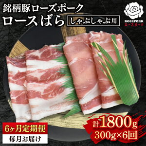 yӂ邳Ɣ[Łzy6ցzy[Y|[NzԂԗp300gi[X150gE΂150gj Ⓚ ؓ uh 錧 ˎs Hה Zbgi YiEK-40_2j