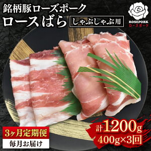 yӂ邳Ɣ[Łzy3ցzy[Y|[NzԂԗp400gi[X200gE΂200gj Ⓚ ؓ@uh 錧 ˎs Hה Zbgi Y VܐX (EK-41_1)