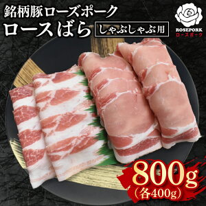 yӂ邳Ɣ[Łzy[Y|[NzԂԗp800gi[X400gE΂400gj Ⓚ ؓ@uh 錧 ˎs Hה Zbgi Y 10000~ VܐX EK-42