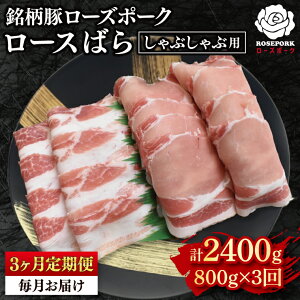 yӂ邳Ɣ[Łzy3ցzy[Y|[NzԂԗp800gi[X400gE΂400gj Ⓚ ؓ@uh 錧 ˎs Hה Zbgi Y VܐX (EK-42_1)