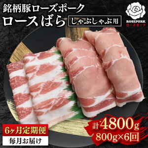 yӂ邳Ɣ[Łzy6ցzy[Y|[NzԂԗp800gi[X400gE΂400gj Ⓚ ؓ@uh 錧 ˎs Hה Zbgi Y VܐX(EK-42_2)