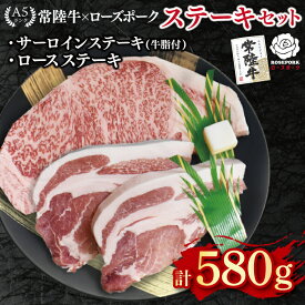 【ふるさと納税】【常陸牛 A5ランク・ローズポークステーキセット】常陸牛サーロインステーキ300g＋ローズポークロースステーキ280g（140g×2枚） 冷凍 国産牛 和牛 牛肉 豚肉　ブランド豚 茨城県 水戸市 食べ比べ セット商品 国産 20000円以内 老舗精肉店 EK-44