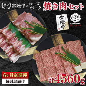 yӂ邳Ɣ[Łzy6ցzy헤 A5NE[Y|[NēZbgz헤Jr360g{[Y|[N400gi[X200gE΂200gj Ⓚ Y a  ؓ@uh 錧 