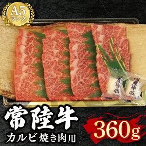 yӂ邳Ɣ[Łzy헤 A5NzJrēp360g Ⓚ Y a  錧 ˎs Y BBQ 15000~ȓ VܐX EK-5