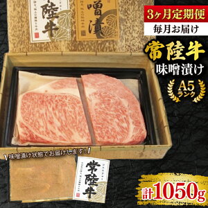 yӂ邳Ɣ[Łzy3ցzy헤 A5NzXЂ350g Ⓚ Y a  錧 ˎs Y VܐX (EK-63_1)