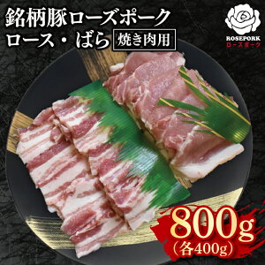 yӂ邳Ɣ[Łzy[Y|[Nzēp800gi[X400gE΂400gjyⓀ _炩 Y 錧 ˎs Y ؁z(EK-96)