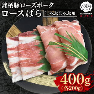 yӂ邳Ɣ[Łzy[Y|[NzԂԗp400gi[X200gE΂200gj Ⓚ ؓ@uh 錧 ˎs Hה Zbgi Y 10000~ȓ VܐX EK-41