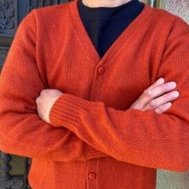 【ふるさと納税】【アルパカ専門店　T'IKA】メンズカーディガンVネック　れんがオレンジ　(アルパカ100％) 【アパレル 洋服 おしゃれ 羽織 プレゼント 毛糸 大きめ サイズ 水戸市 橙色】(AL-3)