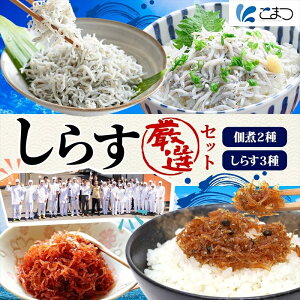 yӂ邳Ɣ[ŁzB[27 ܂ 炷IZbg VX {C̃VX g ߂ R I 炷   C̍K O lC Mtg 蕨 i Hה  Y 
