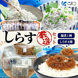 【ふるさと納税】こまつ しらす厳選セット シラス 本気のシラス 釜揚げ ちりめん 山椒 しらす丼 魚 魚介 海の幸 グルメ 人気 ギフト 贈り物 贈答品 食べ比べ 送料無料 小松水産 茨城県 日立