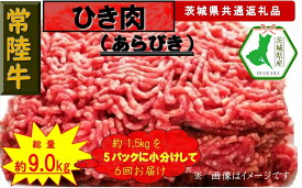 【ふるさと納税】【6か月定期便】【常陸牛】ひき肉（あらびき）約1.5kg【定期便】計6回 総量約9kg（茨城県共通返礼品）【常陸牛　茨城県産　日立市】