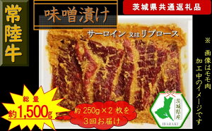 yӂ邳Ɣ[Łzy3ցzy헤z헤̖XЂiT[C̓u[Xj500gyցzv3 ʖ1,500gi錧ʕԗijy헤@錧Y@sz