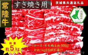 yӂ邳Ɣ[Łzy5ցzy헤zĂp 1kgyցzv5 ʖ5kgi錧ʕԗijy헤@錧Y@sz