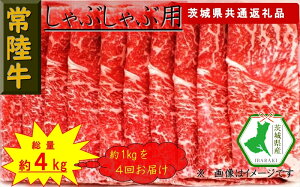yӂ邳Ɣ[Łzy4ցzy헤zԂԗp 1kgyցzv4 ʖ4kgi錧ʕԗijy헤@錧Y@sz