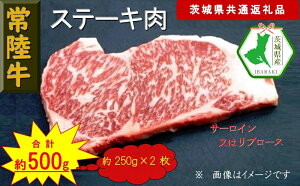 yӂ邳Ɣ[Łzy헤zXe[Lp 500gi錧ʕԗijy헤@錧Y@sz
