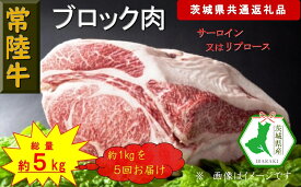 【ふるさと納税】【5か月定期便】【常陸牛】ブロック肉 約1kg【定期便】計5回 総量約5kg（茨城県共通返礼品）【常陸牛　茨城県産　日立市】