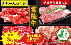【ふるさと納税】【3か月定期便】【常陸牛】どどーんっ！と常陸牛【月替わりで異なる部位が届く定期便】 計3回 総重量約3kg超え（茨城県共通返礼品）【常陸牛　茨城県産　日立市】