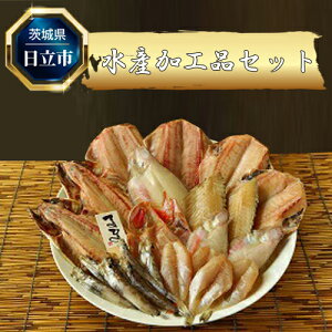 yӂ邳Ɣ[ŁzF-3@YHiZbg(9_x)y 錧 sz