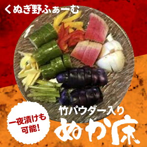 【ふるさと納税】一夜漬けも可能!竹パウダー入りぬか床【配送不可地域:離島】