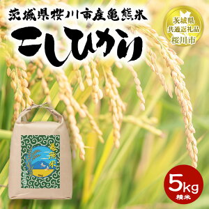 yӂ邳Ɣ[ŁzRVqJ 5kg TF ߘa7NY y錧ʕԗi@sYz b 錧Y   R ւ̔zs