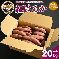 楽天市場】紅はるか 訳あり 20kgの通販
