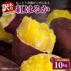 【ふるさと納税】【訳あり】生芋10kg　SSサイズ～2Lサイズ（サイズバラ） ※離島への配送不可 ※2025年12月下旬頃より順次発送予定