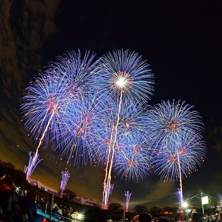 楽天市場】【ふるさと納税】2024年11月2日（土）開催 第93回土浦全国 