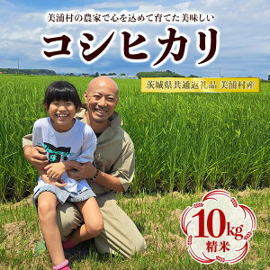 yӂ邳Ɣ[Łzyߘa7NYzRVqJ  10kgy錧ʕԗi@YYz 2025N9{菇\