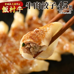 yӂ邳Ɣ[ŁzLq@45i15×3j b Lq MEU 傤 Ⓚ ⓀHi Ă ȒP ٓ  ܂ y   a r[twsւ̔z