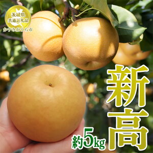 yӂ邳Ɣ[Łz 錧YyVz5kgy錧ʕԗi@݂sYz2025N9{`12{ɏ\ ւ̔zs