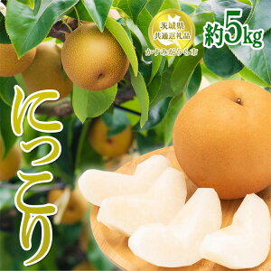 yӂ邳Ɣ[Łz錧Yyɂ藜z5kgy錧ʕԗi@݂sYz2025N9`12{ɏ\ ւ̔zs