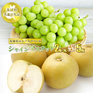 yӂ邳Ɣ[ŁzVC}XJbg2[Ɨ5y錧ʕԗi@݂sYzʕ  t[c Ԃǂ uhE  Ȃ  ① N[ց@2025N8{`10{