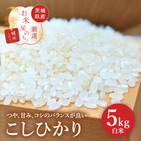 【ふるさと納税】お米屋が厳選した 茨城県産 こしひかり 5kg ※離島への配送不可 ※2026年1月下旬～8月下旬頃に順次発送予定