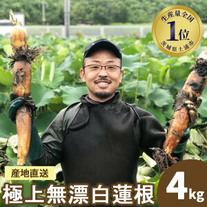 yӂ邳Ɣ[Łz񂱂 錧Y ɏ㖳Y@4kg | 錧 @ 񂱂 R nX  VLVL Â Yn Y@ւ̔zs