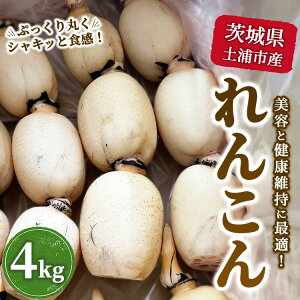 yӂ邳Ɣ[Łz錧yYsY񂱂4kg b eƌN F񂱂 ̂ꂽ Yn @ kCEEւ̔zs