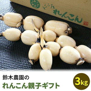 �y�ӂ邳�Ɣ[�Łz��ؔ_���̂�񂱂�e�q�M�t�g 3kg �������ւ̔z���s�� ��2025�N12�����{�`2026�N4����{���ɏ��������\��