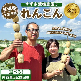 【ふるさと納税】【選べる内容量・配送回数】土浦市産 れんこん 松の小箱1.2kg・「訳あり」竹2kg／単品・定期便2ヶ月・3ヶ月 ｜ 産地直送 茨城県 レンコン 蓮根 野菜 シャキシャキ ※離島への配送不可