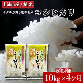 【ふるさと納税】【定期便 4ヶ月】令和7年産　土浦市産コシヒカリ　精米10kg　ホタルが舞う里のお米 ※離島への配送不可 ※2025年9月中旬頃より発送開始