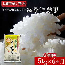 【ふるさと納税】【定期便 6ヶ月】令和7年産　土浦市産 コシヒカリ　精米5kg　ホタルが舞う里のお米※離島への配送不可　※2025年9月中旬～発送開始